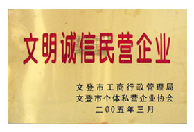 描述